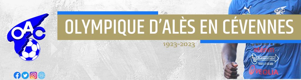 Fanion Olympique D'Alès En Cévennes - Petit Format - France