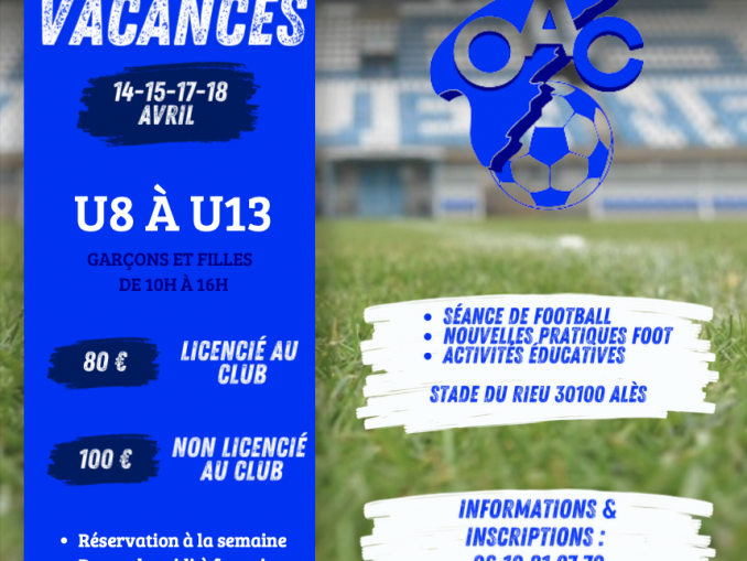 Fanion Olympique D'Alès En Cévennes - Petit Format - France